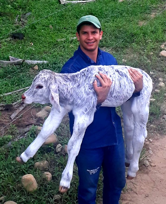 Jhonny Giraldo en una finca del Llano